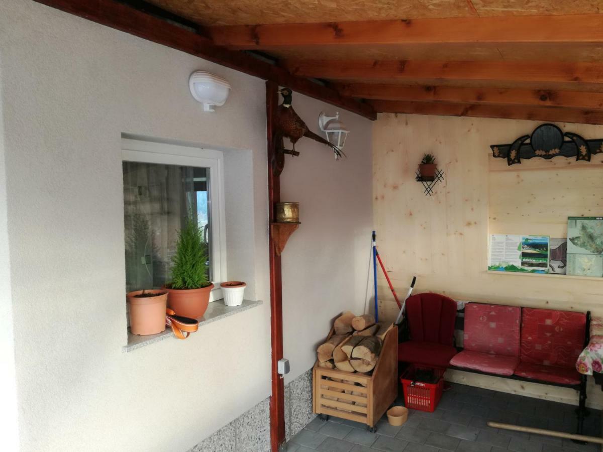 Kuca Za Odmor "Jasna" Apartment Crni Lug Exterior photo